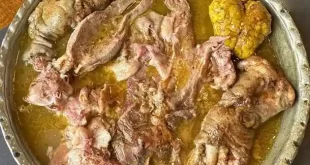 کله‌پاچه برای مادران باردار: بررسی فواید و احتیاط‌های لازم