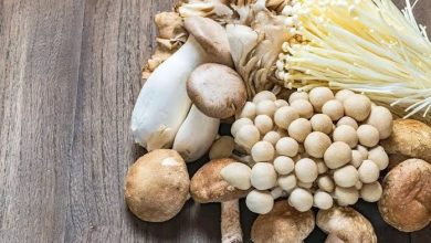 خواص قارچ خوراکی؛ چرا باید این ابرغذا را در رژیم روزانه بگنجانیم؟