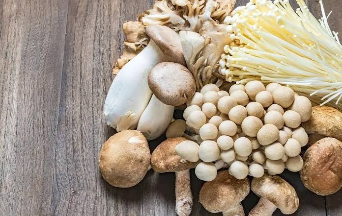 خواص قارچ خوراکی؛ چرا باید این ابرغذا را در رژیم روزانه بگنجانیم؟