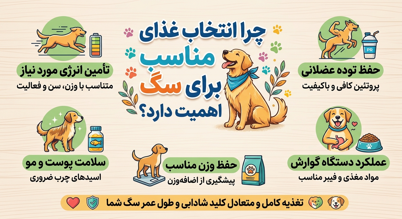 عوامل انتخاب غذای خشک سگ
